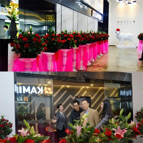 西安拂尔佳智能电动床